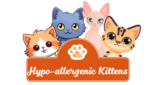 cropped-Orange-Brown-Cute-Illustration-Pet-Care-Logo.png